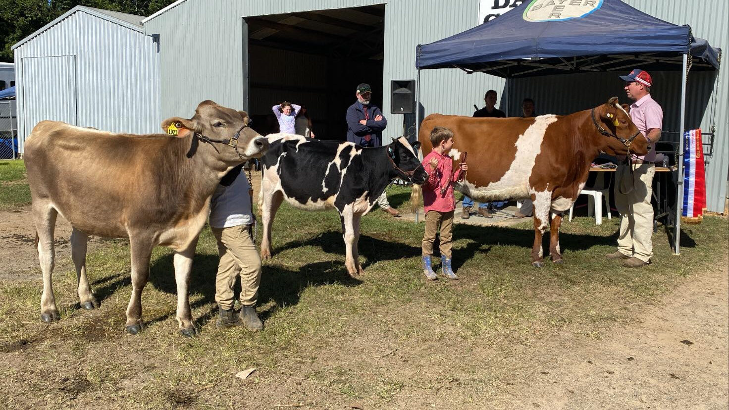 eb66dbf5-23dd-4384-a9b3-dc9185aa8294