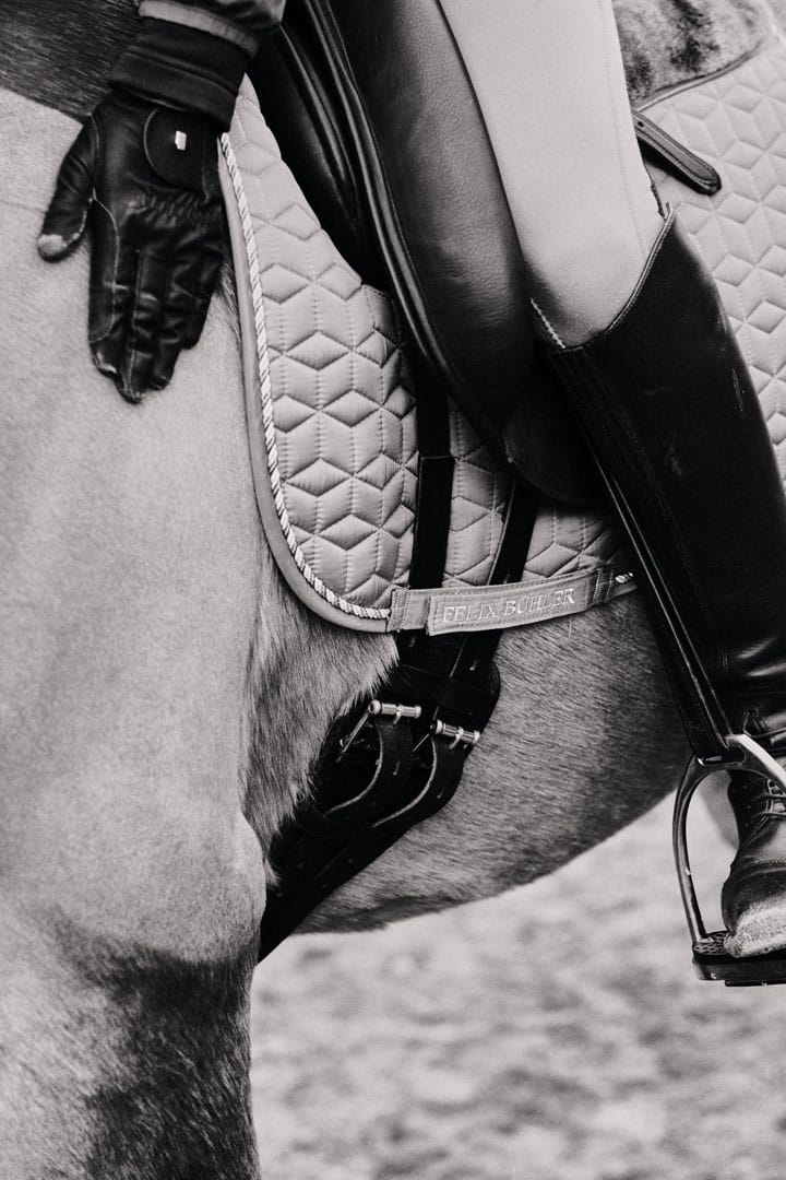 Section-01-Show-Horses