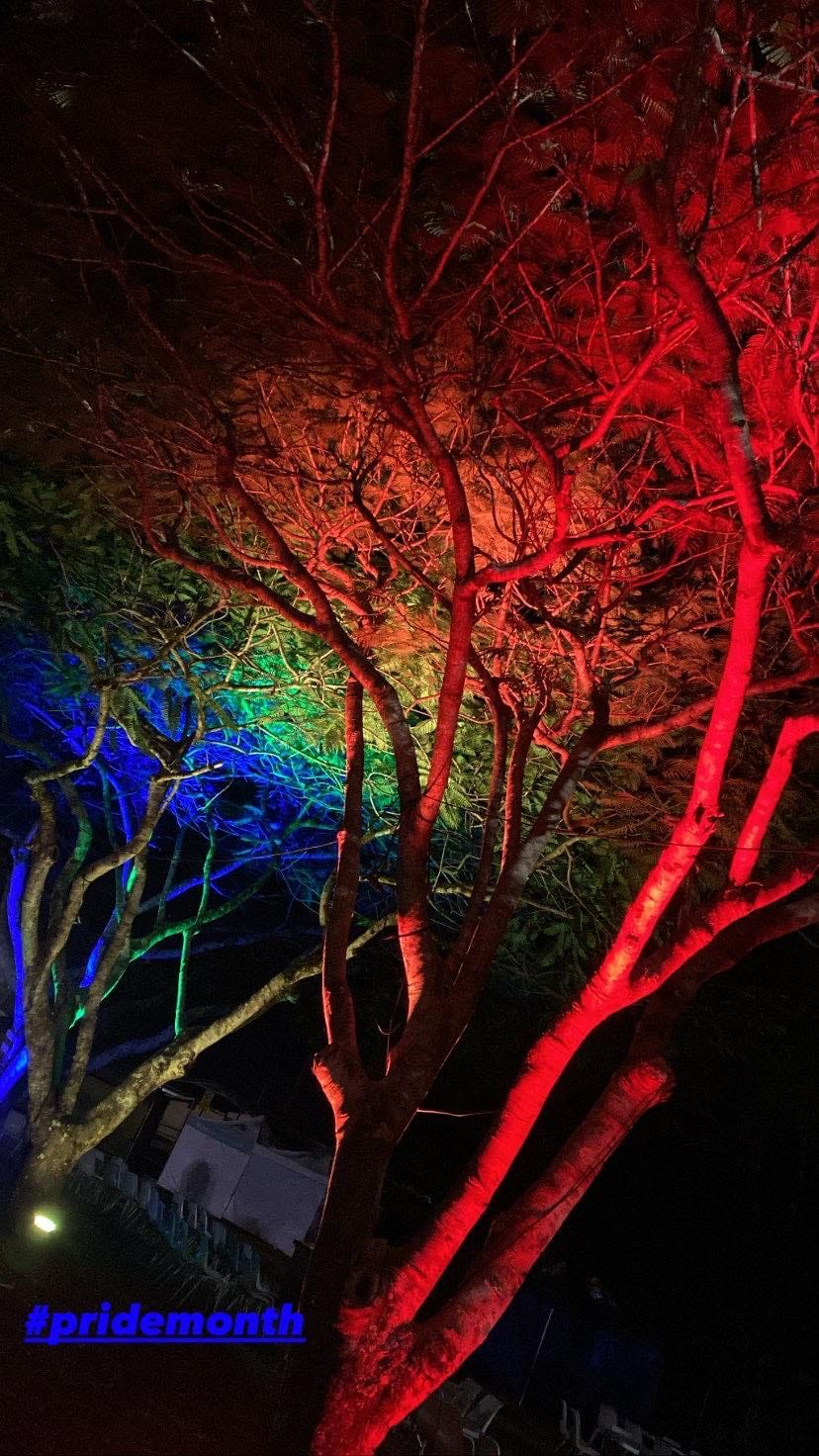 287786903_393746959476862_5542650333206845296_n (3)