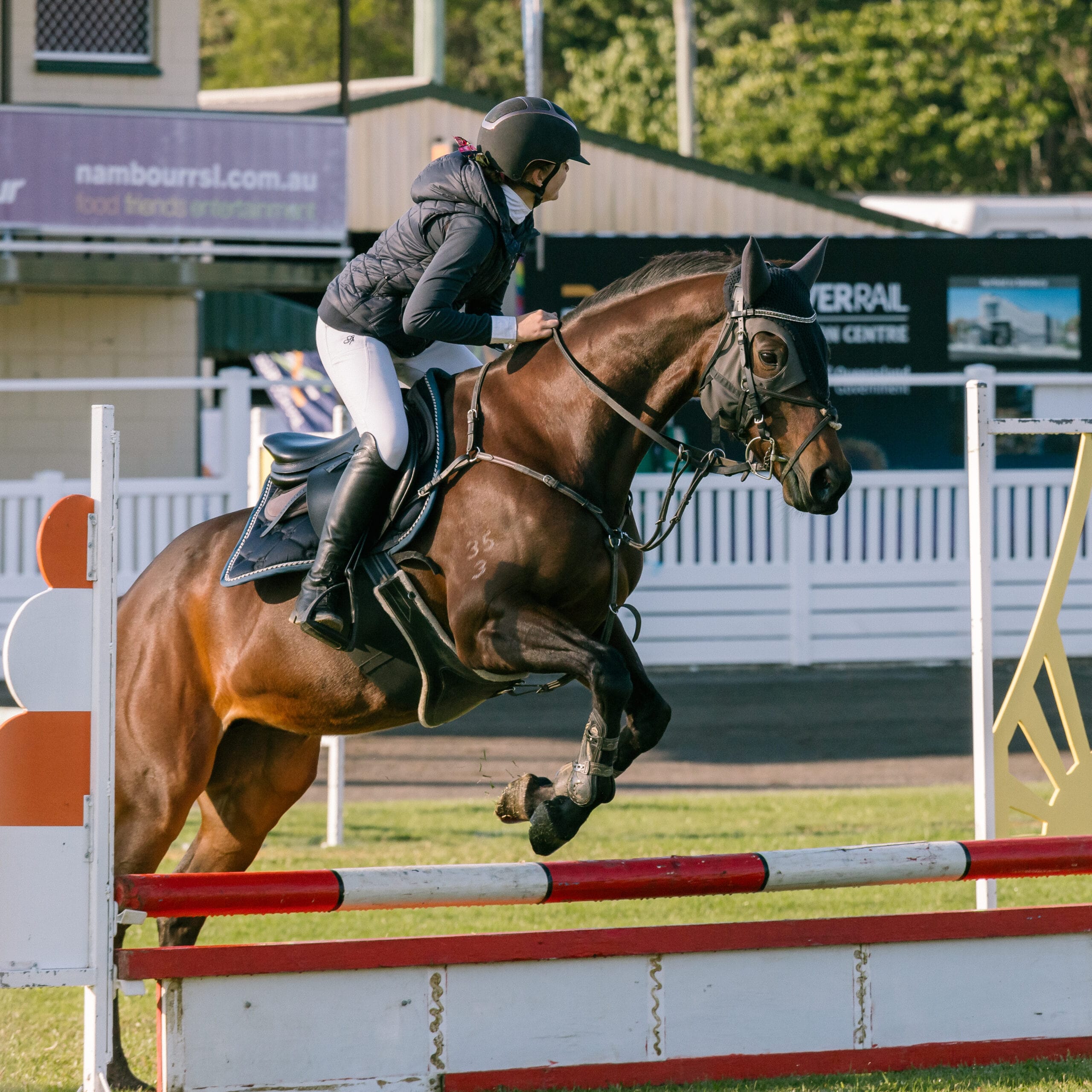 HGP_SCAS2023_Horses-8