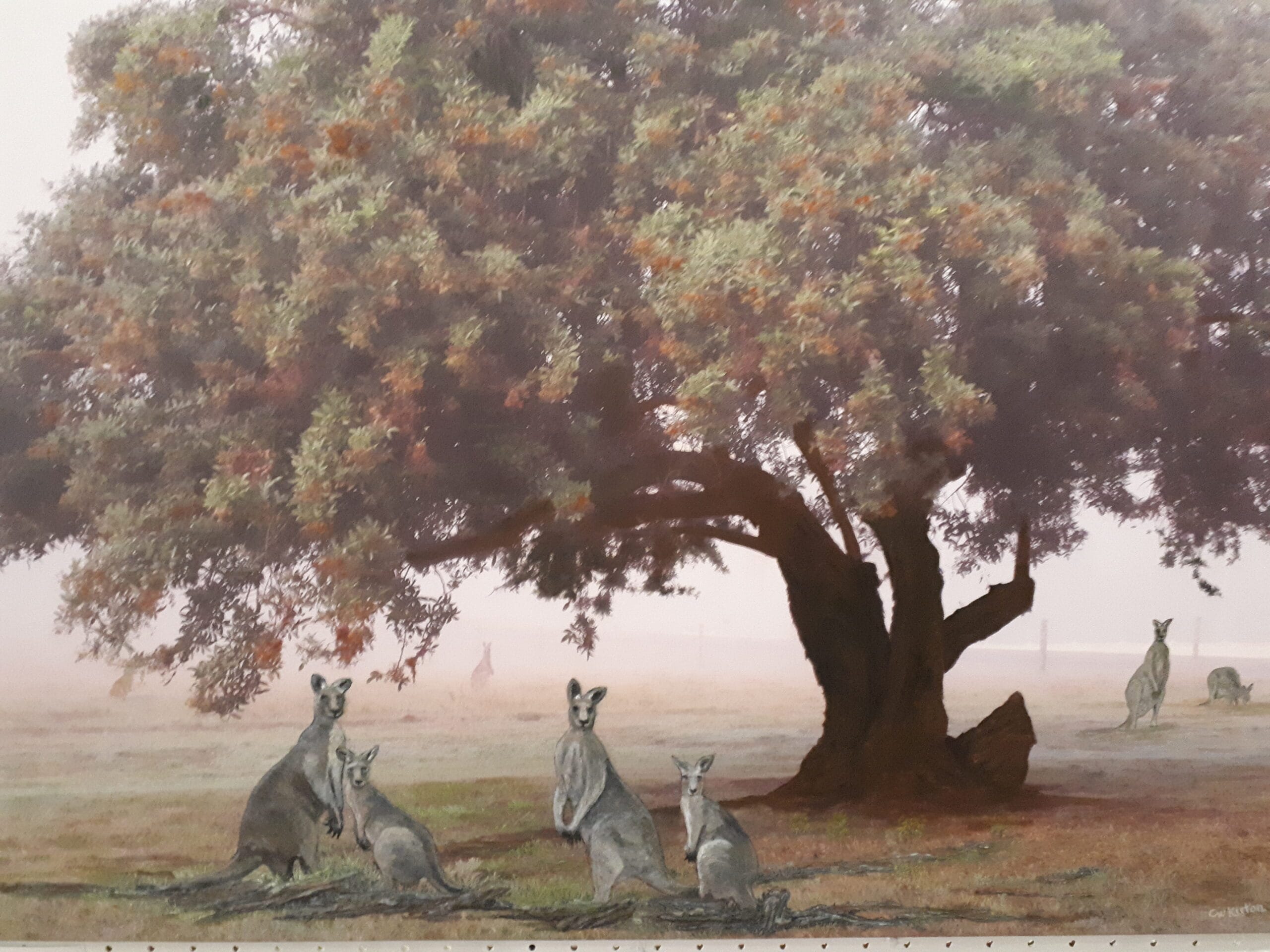 Art - Peaceful Roos 2019