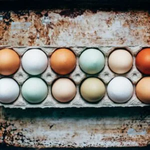 Section-10-Eggs-300x300