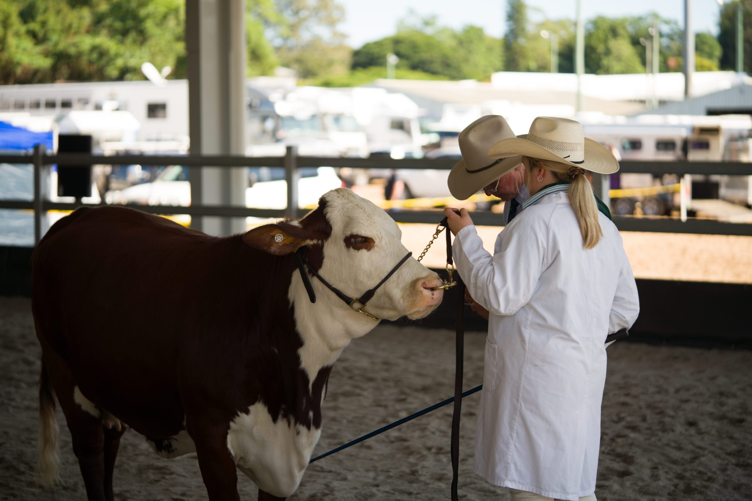 Beef A7R4550_highres (2)