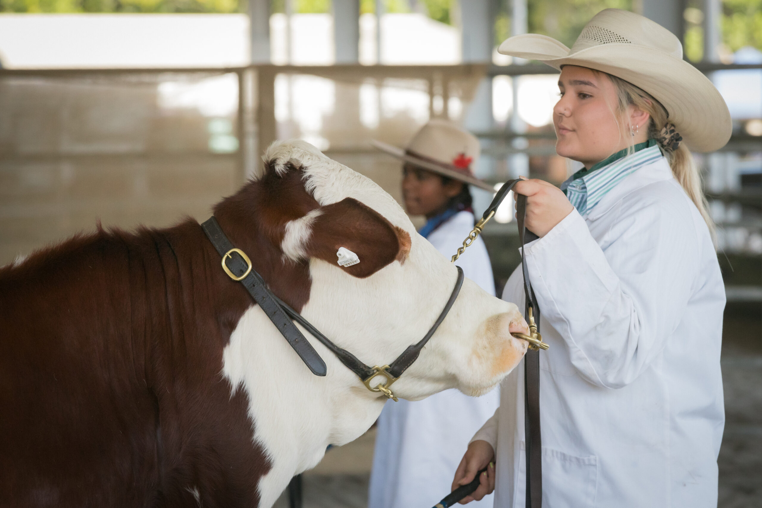 Beef HGP_SCAS2023 (2)