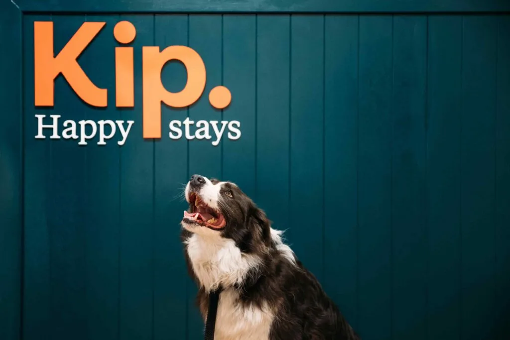 KIP Happy Stays 2225 2 min