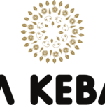 kebab20van20